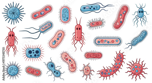 Comprehensive collection of various colorful bacteria, virus cells, and microbes in flat cartoon style for science education.