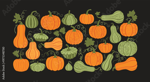 Wide variety of pumpkins and squashes with different shapes, colors, and textures on a solid black background for autumn.