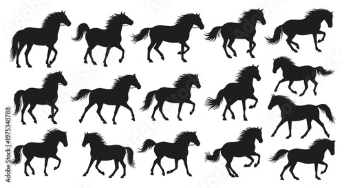 Collection of fifteen black silhouettes of horses in different movement stages like walking, trotting, and galloping.