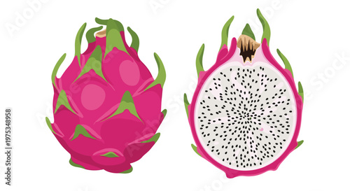 Realistic illustration of a whole vibrant pink dragon fruit next to a half showing the white flesh and many small black seeds.