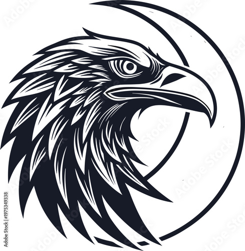 The intense gaze of a majestic bald eagle in flight