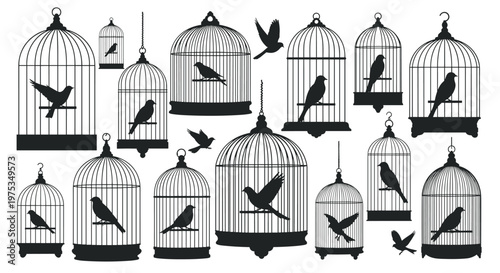 Large collection of black silhouettes showing various styles of birdcages and flying birds either inside them or escaping to fly freely.