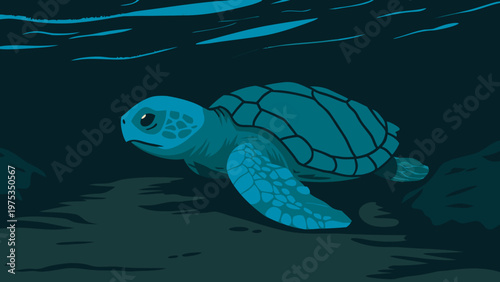 Seaturtle swims through the deep blue ocean water during a calm evening.