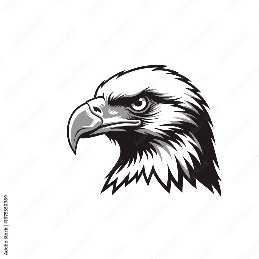 Obraz premium Detailed illustration of an eagle's head in profile view
