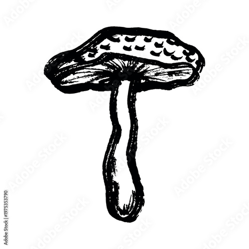 Hand drawn mushroom doodle Botanical illustration Cute autumn mushroom Healthy eco food Organic vegetarian food For stickers, greeting card, design, print, packaging, decor, kids books