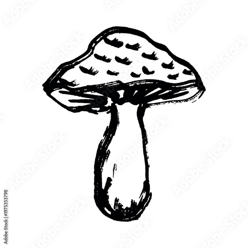 Hand drawn mushroom doodle Botanical illustration Cute autumn mushroom Healthy eco food Organic vegetarian food For stickers, greeting card, design, print, packaging, decor, kids books