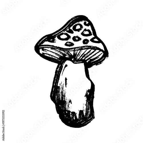 Hand drawn mushroom doodle Botanical illustration Cute autumn mushroom Healthy eco food Organic vegetarian food For stickers, greeting card, design, print, packaging, decor, kids books