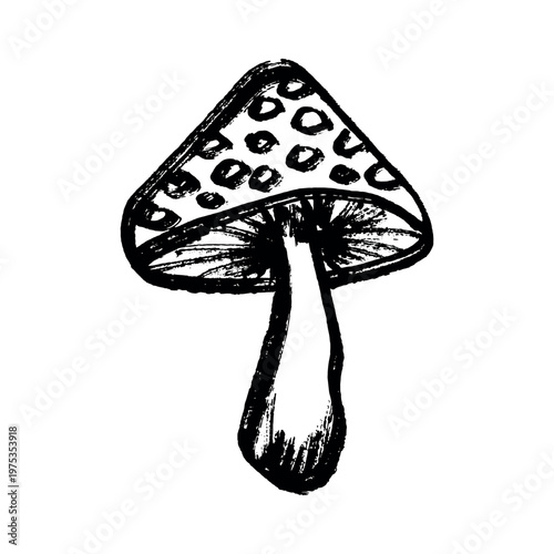 Hand drawn mushroom doodle Botanical illustration Cute autumn mushroom Healthy eco food Organic vegetarian food For stickers, greeting card, design, print, packaging, decor, kids books
