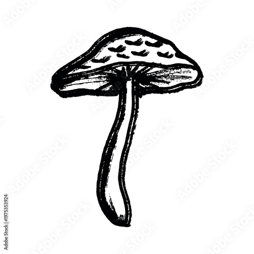 Hand drawn mushroom doodle Botanical illustration Cute autumn mushroom Healthy eco food Organic vegetarian food For stickers, greeting card, design, print, packaging, decor, kids books