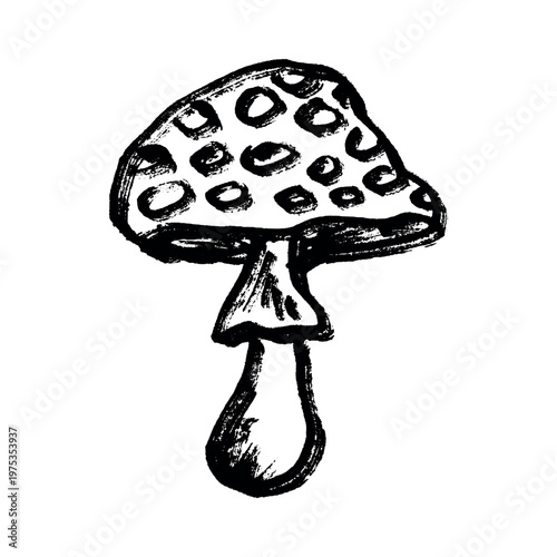 Hand drawn mushroom doodle Botanical illustration Cute autumn mushroom Healthy eco food Organic vegetarian food For stickers, greeting card, design, print, packaging, decor, kids books