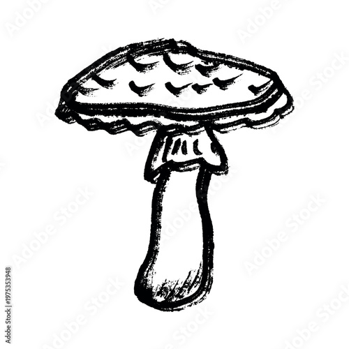 Hand drawn mushroom doodle Botanical illustration Cute autumn mushroom Healthy eco food Organic vegetarian food For stickers, greeting card, design, print, packaging, decor, kids books