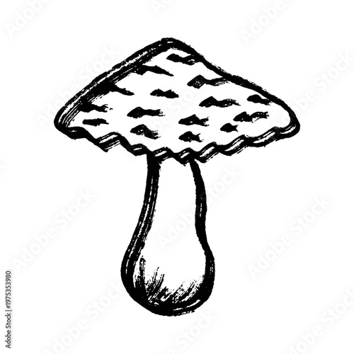 Hand drawn mushroom doodle Botanical illustration Cute autumn mushroom Healthy eco food Organic vegetarian food For stickers, greeting card, design, print, packaging, decor, kids books