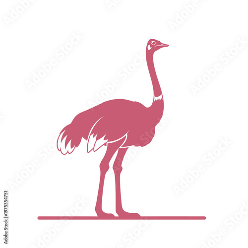 Elegant pink ostrich standing on a minimalistic background