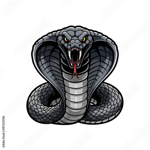 Fierce Cobra Snake Coiled with Tongue Out in Detail