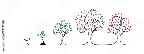 apple tree growth cycle, growing tree line art, black line vector illustration, showing progression from young plant to full tree