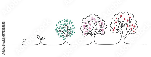 Apple tree growth cycle, growing tree line art, black line vector illustration, design element showing stages from seedling to mature tree