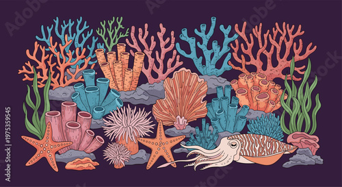 Vibrant underwater scene illustration showing a diverse coral reef with sea sponges, sea urchins, starfish, and a cuttlefish.