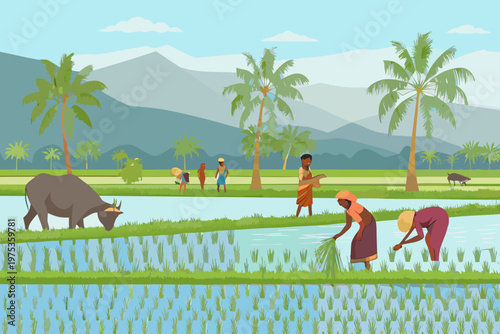 Rural scene depicting farmers working in a flooded rice paddy field