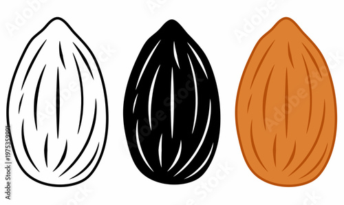 outline and silhouette almond (Prunus amygdalus). vector illustration isolated white background