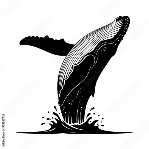 Humpback whale breaching in ocean, splashing water