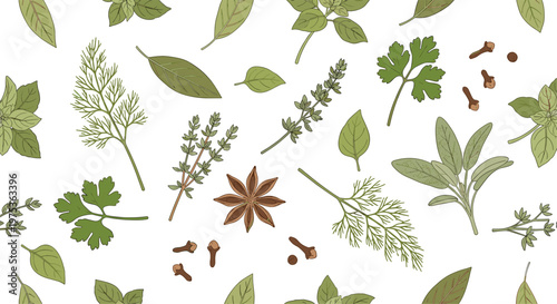 Collection of various fresh culinary herbs and spices like basil, rosemary, thyme, and star anise scattered across a clean white surface.