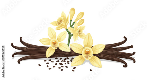 Beautiful illustration of yellow orchid-like vanilla flowers with long dark brown vanilla beans and small black seeds on a white background.