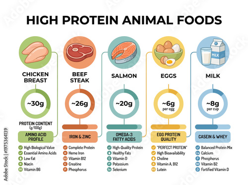 High Protein Foods for a Healthy Diet Animal-Based Protein Sources Explained