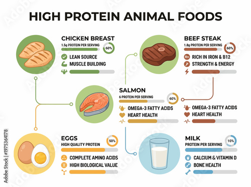 High Protein Animal Foods A Comprehensive Guide to Nutrition and Health Benefits