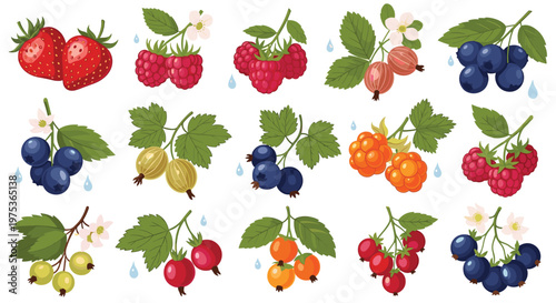Beautiful collection of various forest berries including strawberries, raspberries, blueberries, and currants with leaves and water drops.