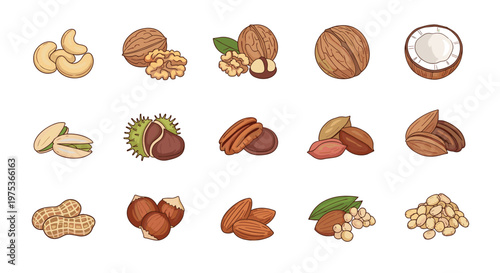 Informative grid of various nuts in their shells including walnuts and almonds alongside a halved tropical coconut.