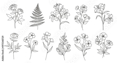 Detailed black and white floral illustrations of various plants.