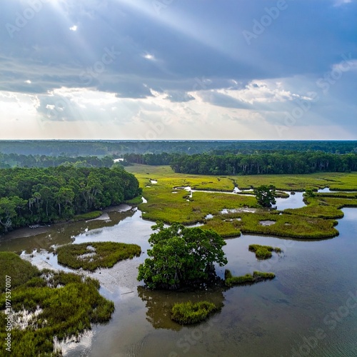 Aerial View of Lush Green Marshlands and Rivers Under Cloudy Sky.