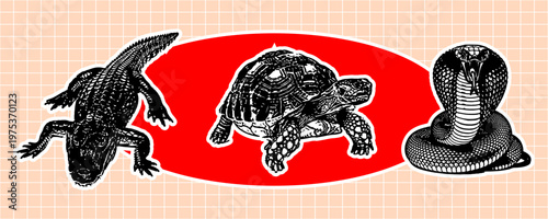 Set of reptiles including an alligator, a tortoise, and a cobra snake, handdrawn illustration style, a red oval background