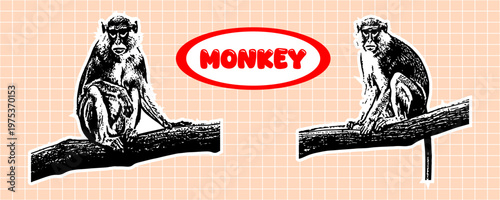 Vintage style illustration of two monkeys sitting on tree branches, handdrawn sketch style, detailed animal artwork, retro aesthetic design element