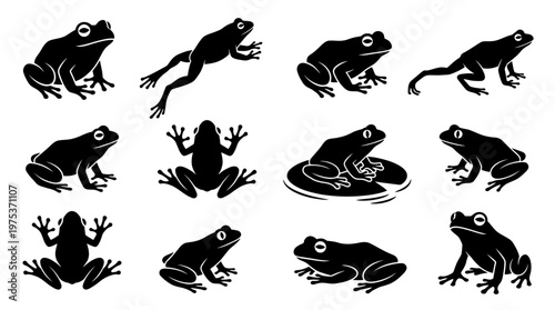 10 Frog Silhouette Vector Pack – Minimalist Amphibian SVG Collection