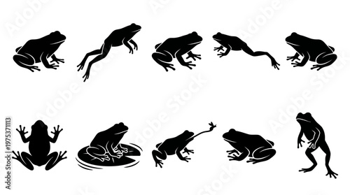 10 Frog Silhouette Vector Pack – Minimalist Amphibian SVG Collection