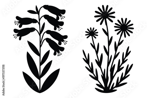 Collection of bell-shaped and star-like flowering plants black silhouette