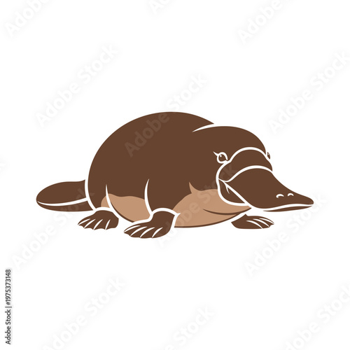 Platypus resting on a white background, serene pose