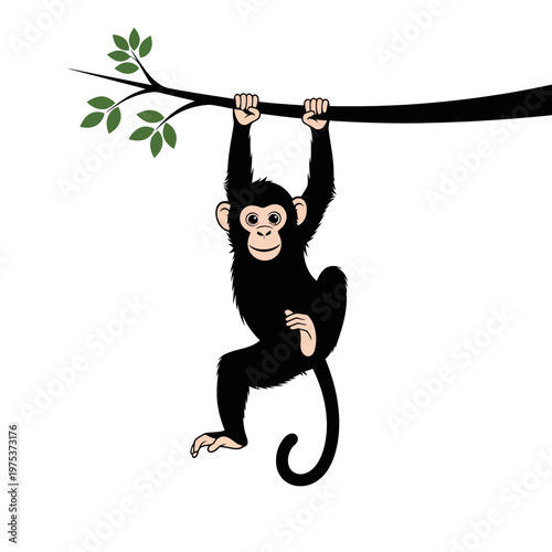 Playful monkey hanging from a branch in nature