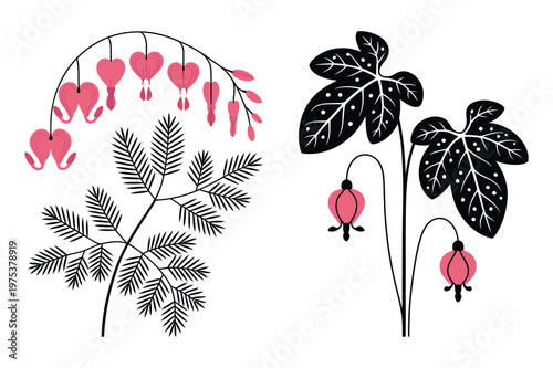 Vector illustrations of bleeding heart flowers and detailed botanical leaves