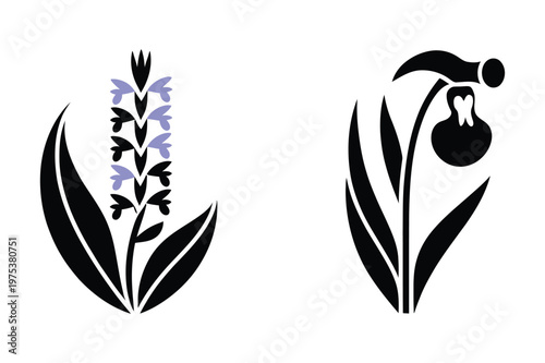Stylized purple spike flower and black lady slipper orchid bloom vector