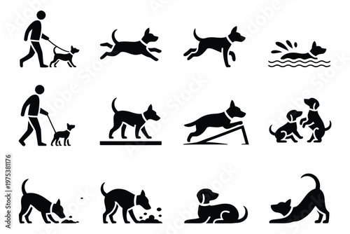 Dog Activities, solid icon set featuring dog walking, running, playing fetch, swimming, hiking, agility course