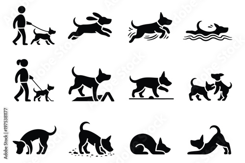 Dog Activities, solid dog icon set including walking, running, fetch, swimming, hiking, agility, catching