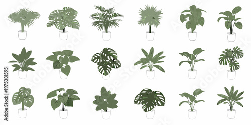 Collection of various potted houseplants arranged on a white background