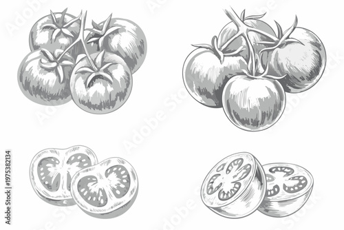 Sketch of tomatoes whole halved and sliced in grayscale tones