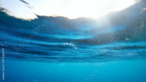 Submerged view, half-sunlit above the surface, vast blues dominate below with light refracting