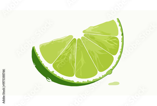 Realistic lime wedge slice vector with detailed pulp and fresh juice isolated on white background