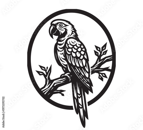 Monochromatic illustration of a majestic tropical parrot, a macaw, perched on a tree branch within a clean circular frame, capturing exotic avian beauty