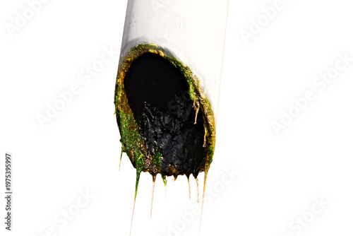 Clogged Drain Pipe With Sludge And Organic Buildup