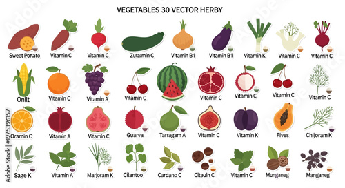 Colorful vector illustration showcasing a diverse collection of vegetables, fruits, and herbs with their primary vitamin content.